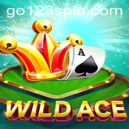 Discover the Thrills of WildAce: A New Frontier in the World of Slots